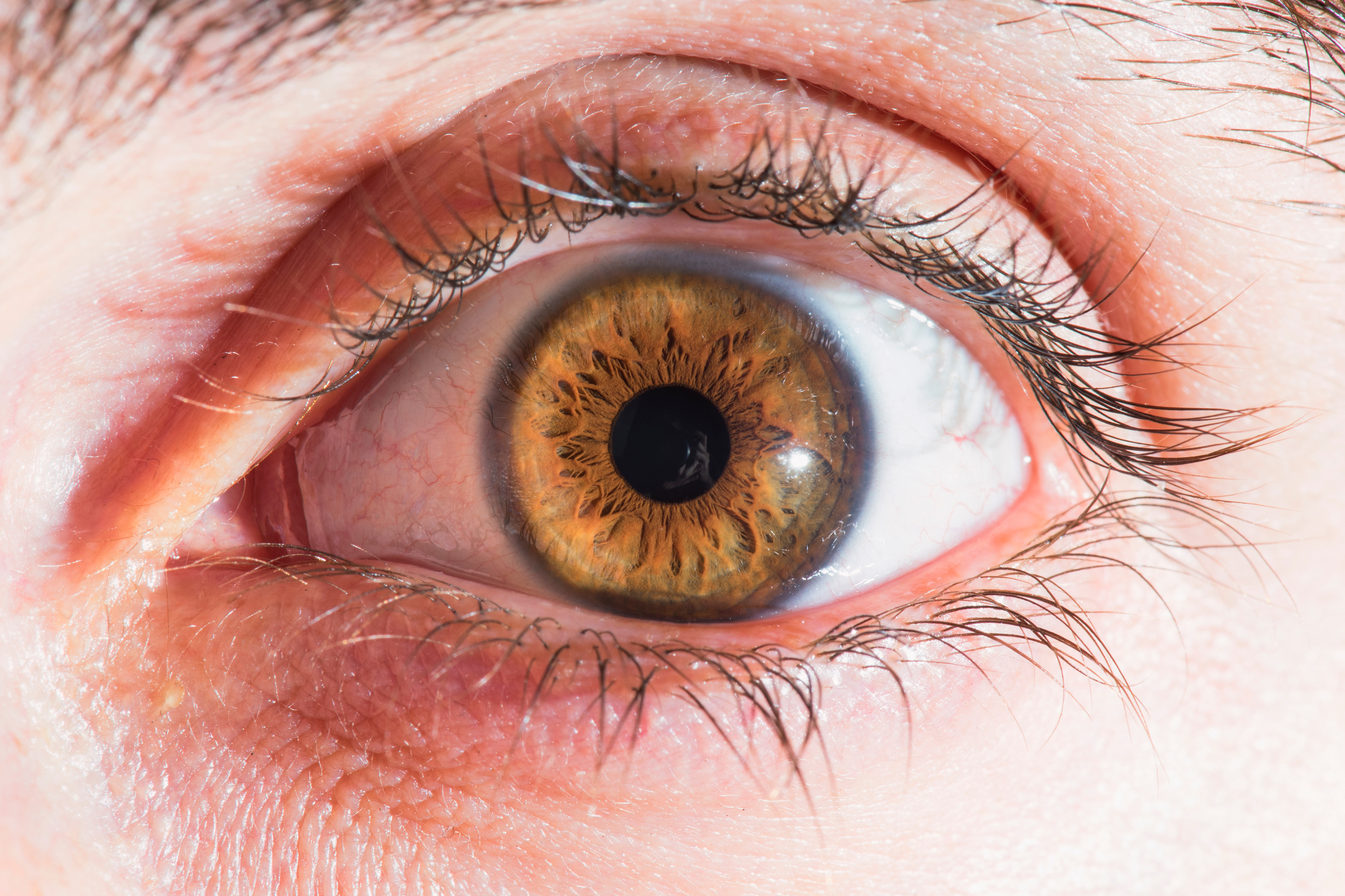 Image for Punjabi - Your guide to diabetic retinopathy